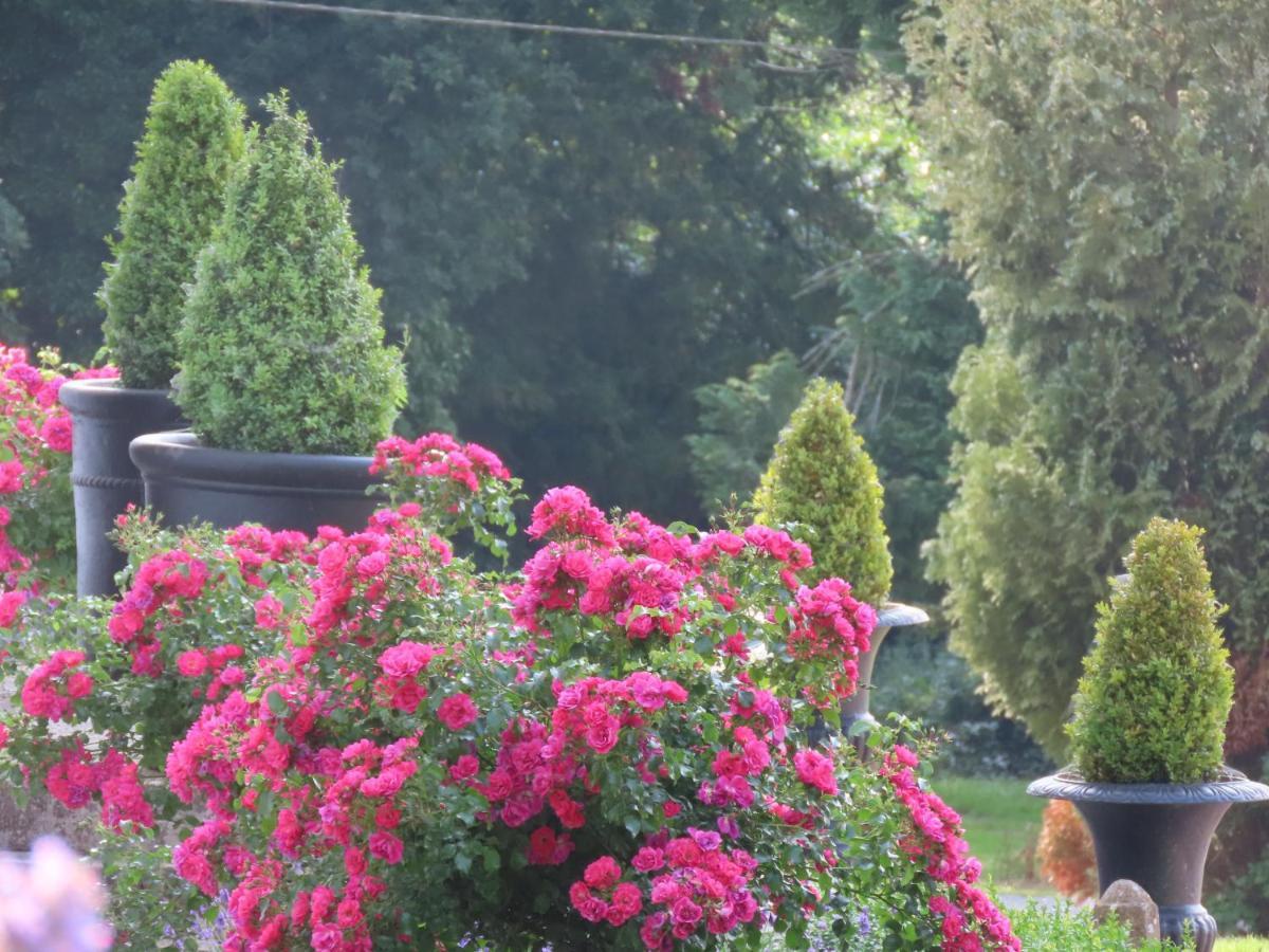 Noan Country House B&B Cashel  Exterior foto